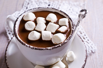 Obraz na płótnie Canvas Hot chocolate with marshmallow