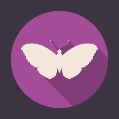 Butterfly symbol on round icon 