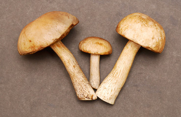 mushrooms