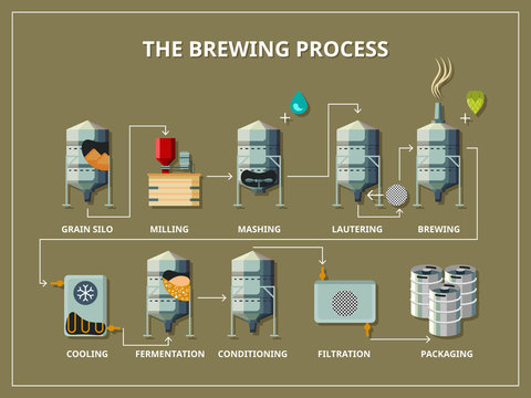 Brewery Process Infographic In Flat Style