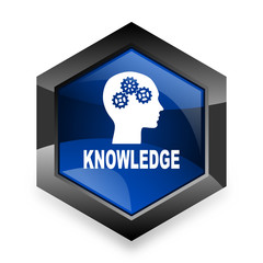 knowledge blue hexagon 3d modern design icon on white background