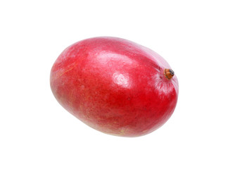 Mango Fruit On White