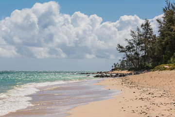 Sand beach in Maui, Hawaii