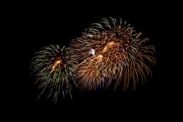 fireworks on the black sky background