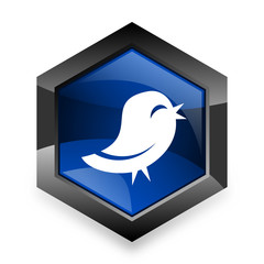 twitter blue hexagon 3d modern design icon on white background