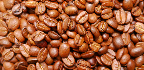 coffee beans