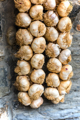 Garlic bunches in a farmers market