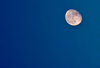 full moon in the morning at sunrise on the background of the clear blue sky
