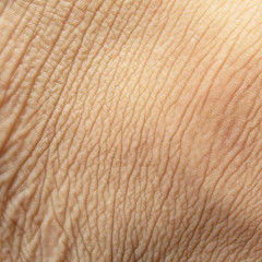 macro foot skin background