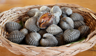 Fresh and delicious cockles for seafood
