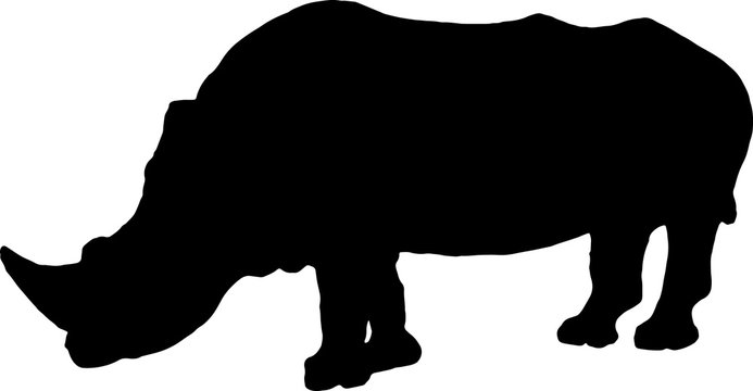 Big rhino silhouette