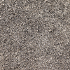 dry brown grass on the ground