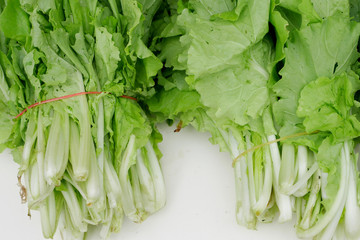 The chinese flowering cabbage with elastic band.