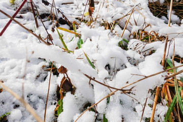 Erster Schnee