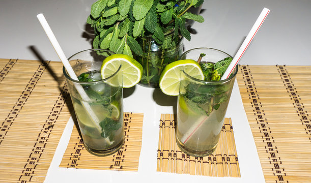 cocktail mahito drink party sunflower