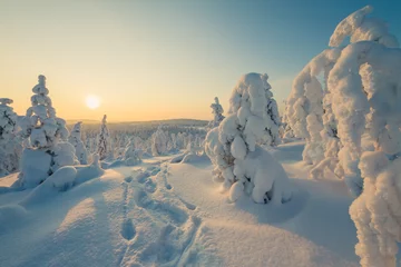 Poster Winter landscape with snowshoes track © petejau
