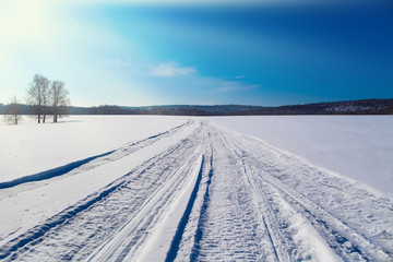Winter landscape on trees