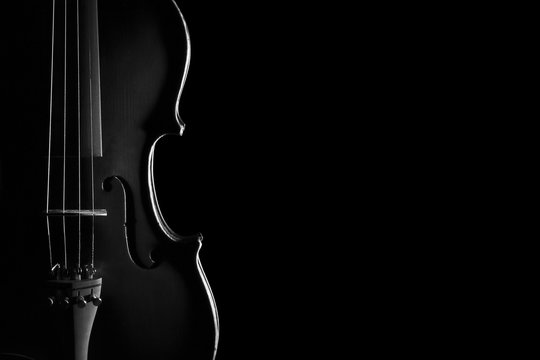 violin