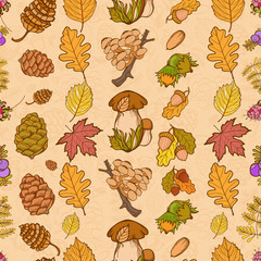 Seamless color wild elements of nature, mushrooms, buds, plants, acorns, leaves. Vector drawing autumnal theme.