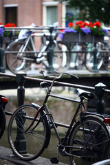 Obraz premium Group of parked bicycles