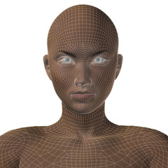 Conceptual 3D wireframe human female or woman face or head