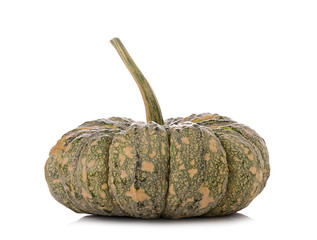 pumpkin on white background