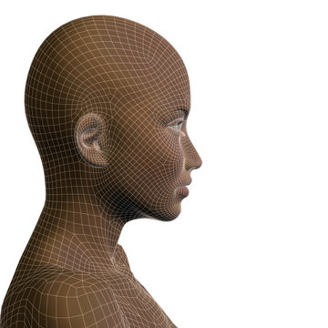 Conceptual 3D wireframe human female or woman face or head