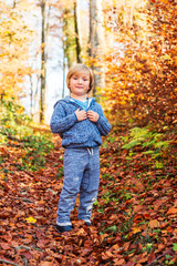 Autumn portrait of a cute little boy in forest, wearing blue knitted jacket and joggers