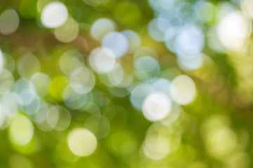 green bokeh