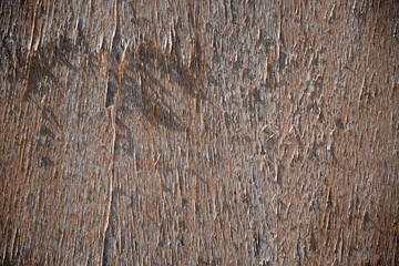 Wood wall. Wood background