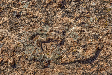 The rocky surface in Canyonlands National Park