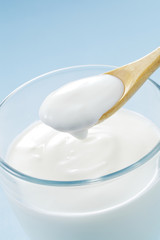 ヨーグルト　Yogurt