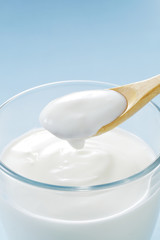 ヨーグルト　Yogurt