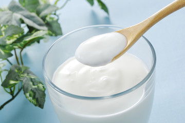 ヨーグルト　Yogurt
