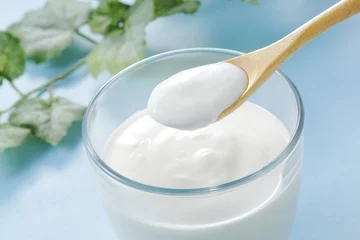 Cercles muraux Produits laitiers ヨーグルト　Yogurt