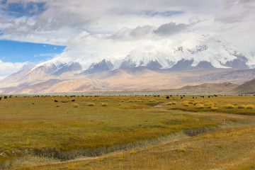 Grassland with Muztagh Ata mountain and Karakuli Lake, Pamir Mountains, Kasgar, Xinjiang, China