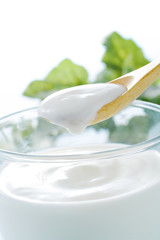 ヨーグルト　Yogurt