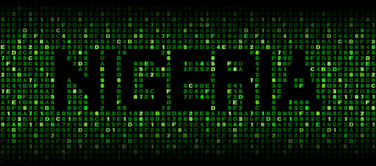 Nigeria text on hex code illustration