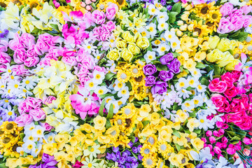 Flower backgrounds