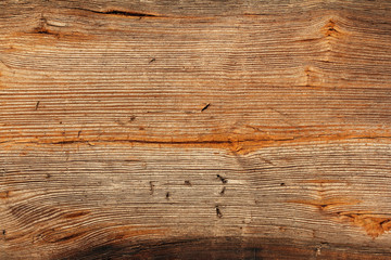 Fototapeta premium old wooden board with holes left by staples
