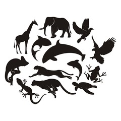 Silhouette Template of Animals