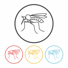 insect line icon
