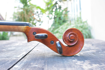 Violin head.