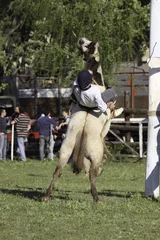 Fotobehang Tradición caballos doma © Santa001