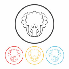 vegetables line icon