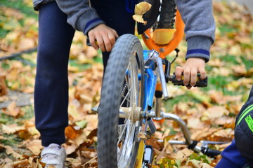 kids playing with the leaves in the park