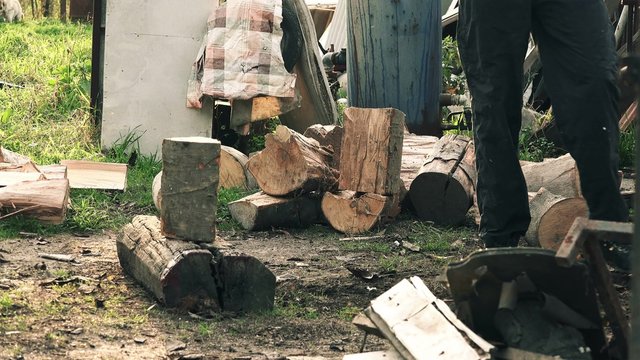 Lumberjack cuts wood logs with splitting axe for firewood
