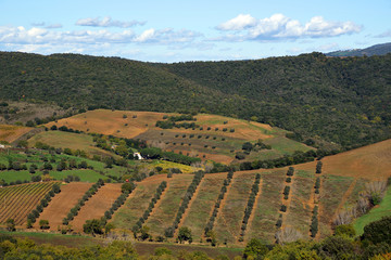 campagna toscana in autunno