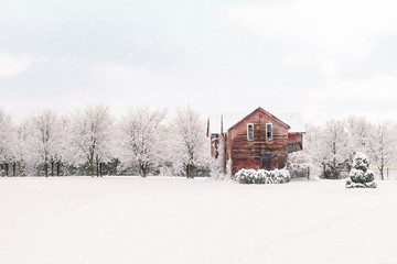 The winter house