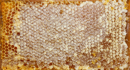 texture of honey
